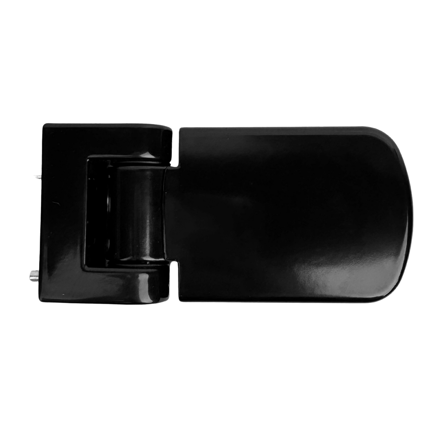 Direkt High Security Door Hinge