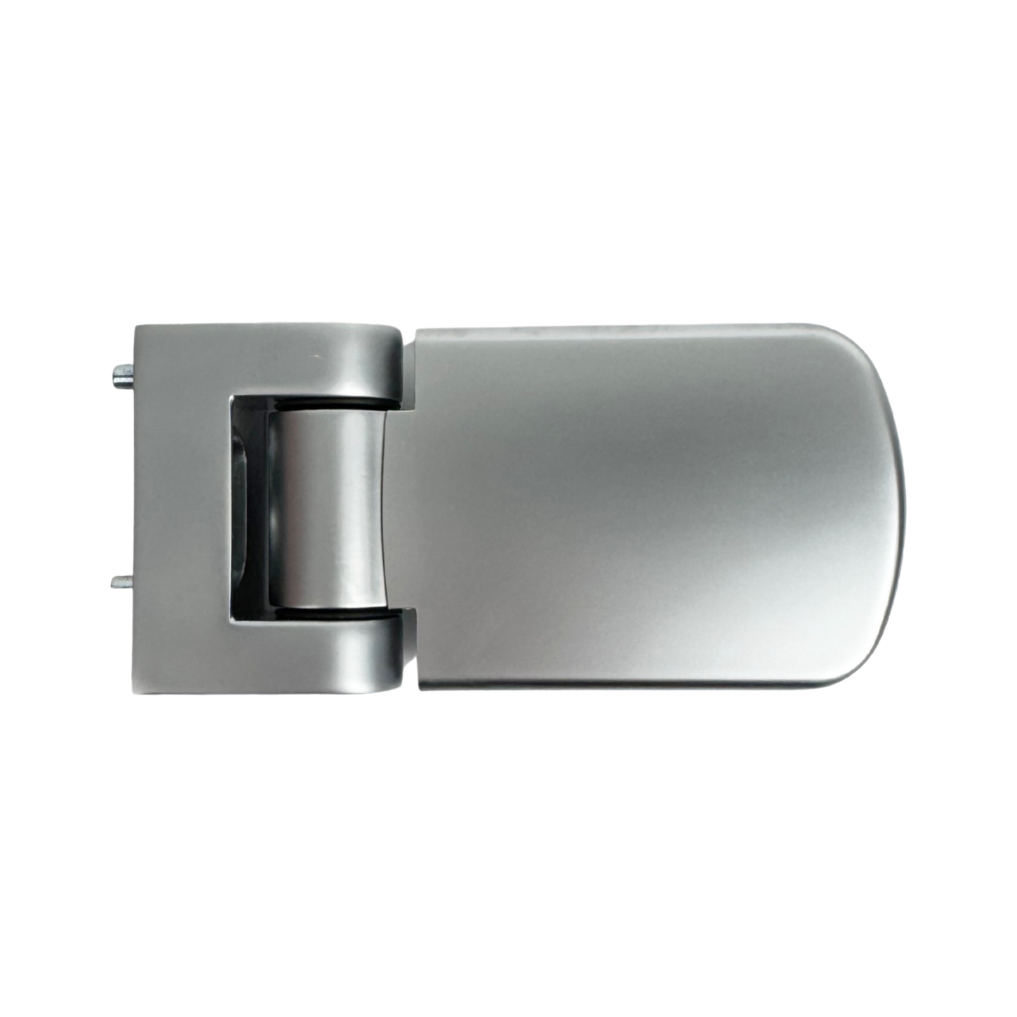 Direkt High Security Door Hinge